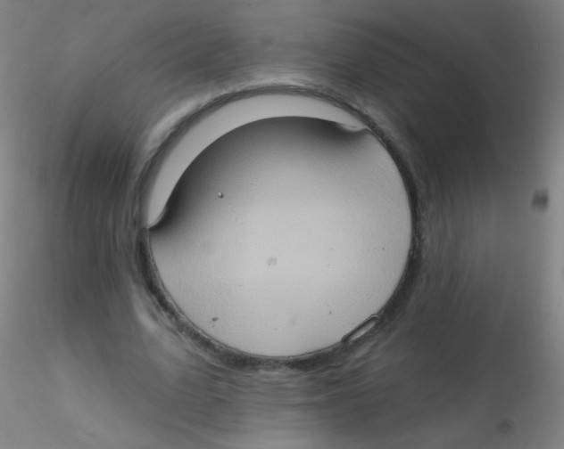 X0000115170583200911251336