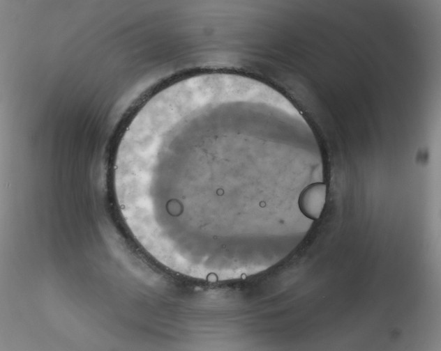 X0000115170584200911251336