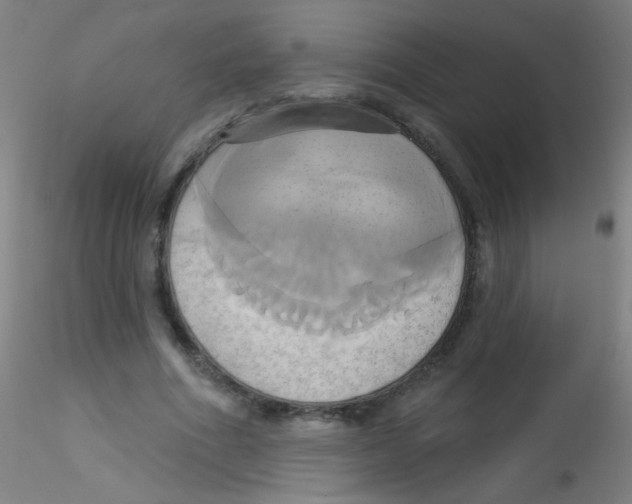 X0000115170586200911251336