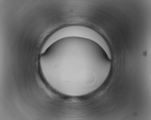 X0000115170589200911251336