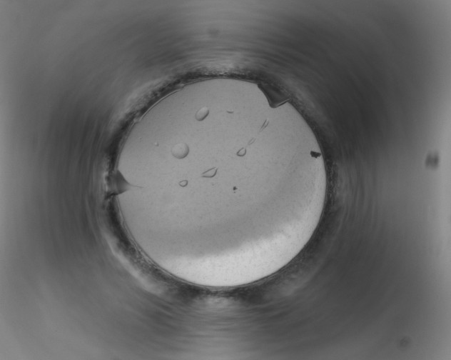 X0000115170590200911251336