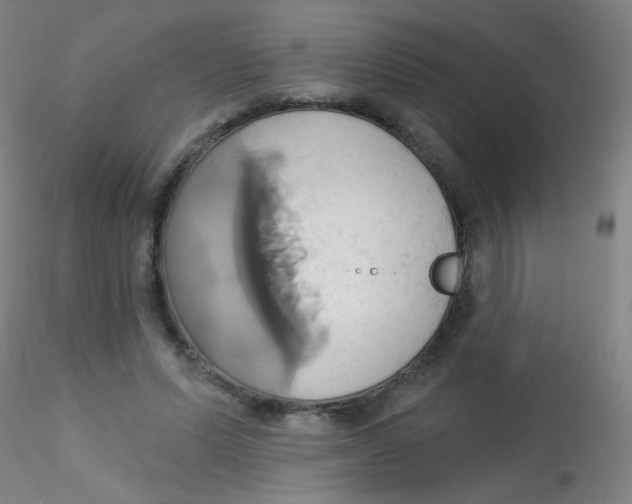 X0000115170591200911251336