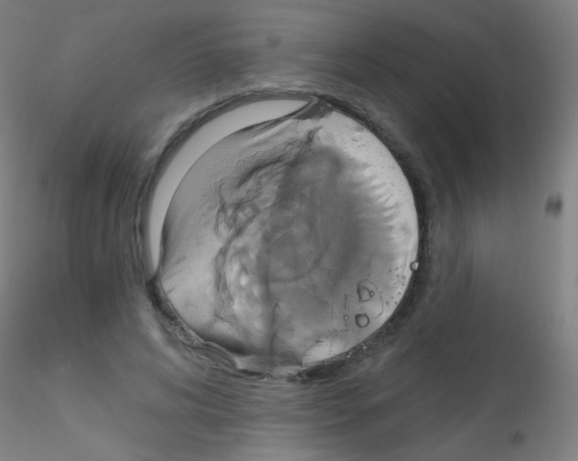 X0000115170592200911251336