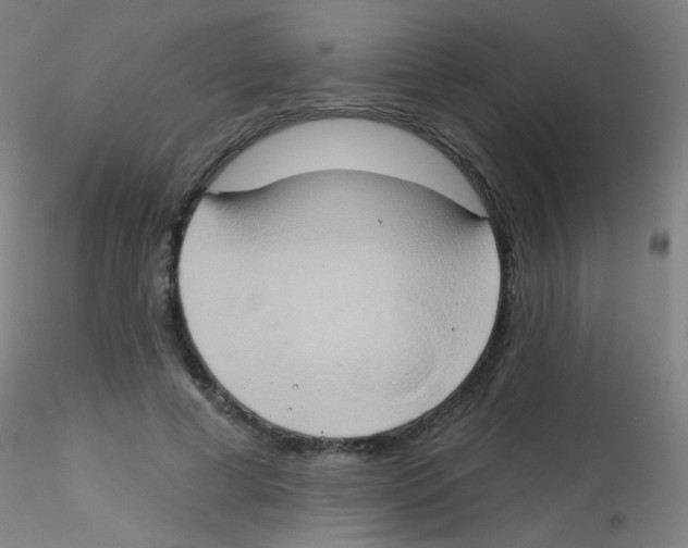 X0000115170593200911251336