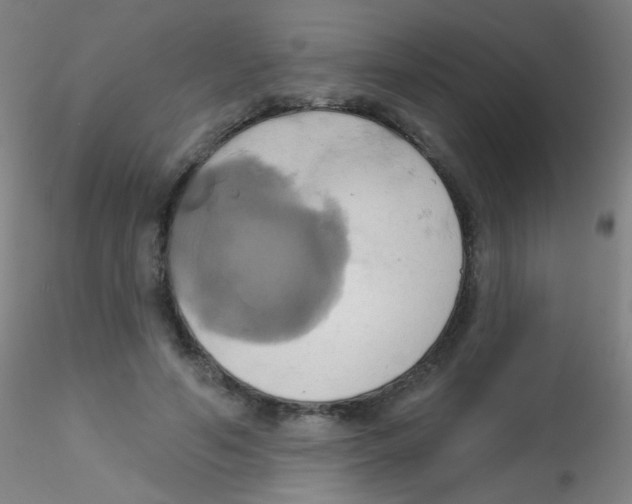 X0000115170594200911251336