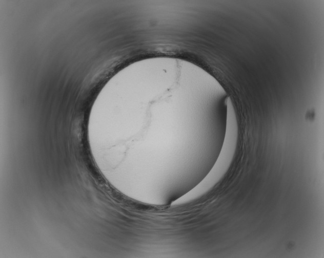 X0000115170595200911251336