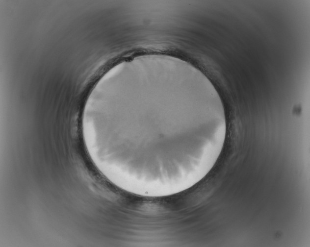 X0000115170596200911251336