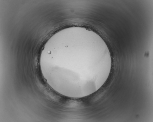 X0000115170597200911251336