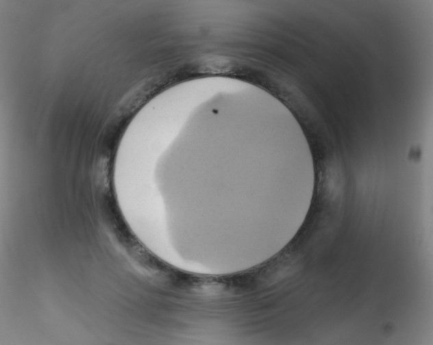 X0000115170598200911251336