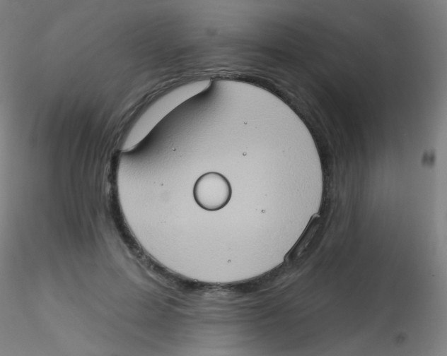 X0000115170599200911251336