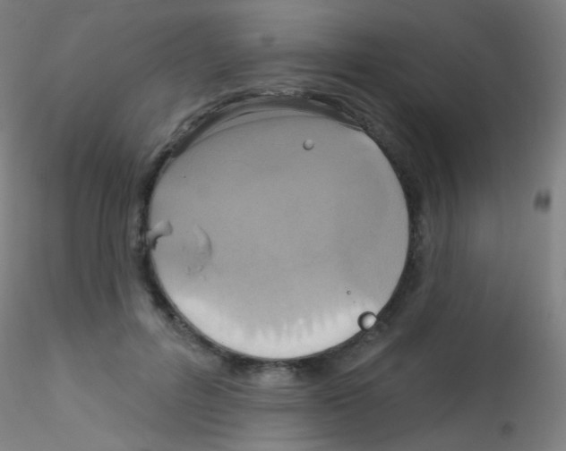 X0000115170600200911251335