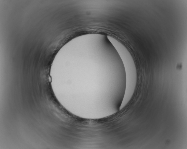 X0000115170601200911251335