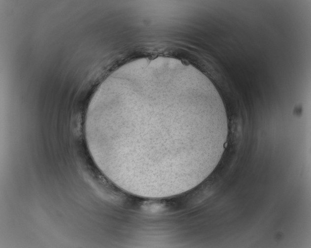 X0000115170602200911251335