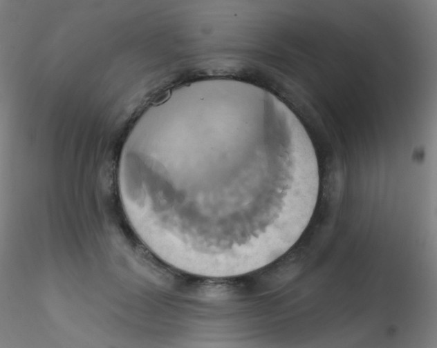 X0000115170604200911251335