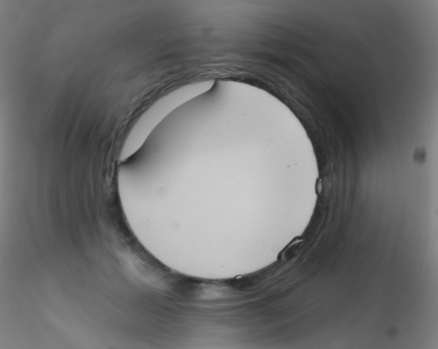 X0000115170605200911251335