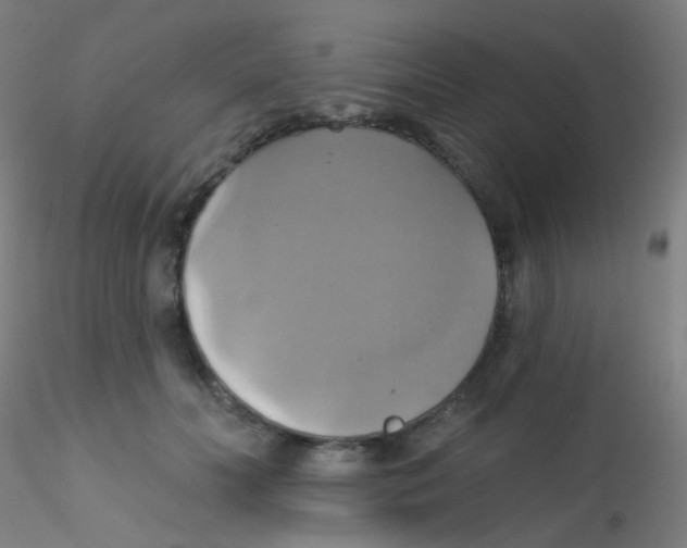 X0000115170606200911251335