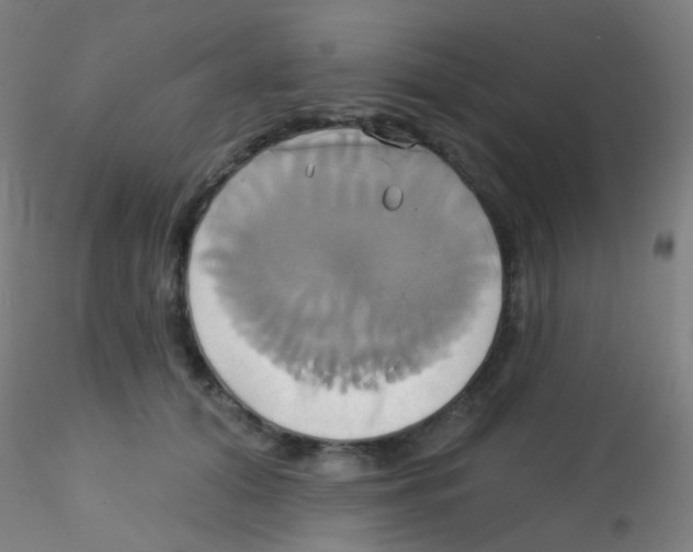 X0000115170608200911251335