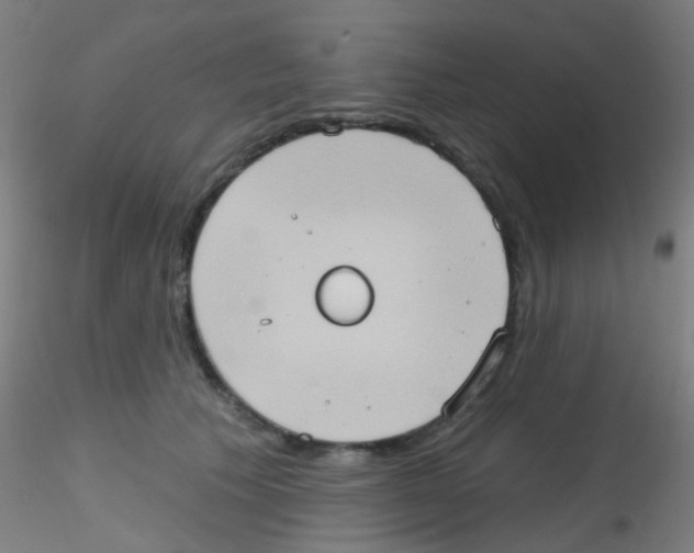 X0000115170609200911251335