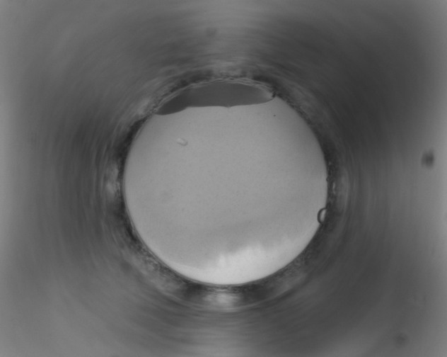 X0000115170610200911251335