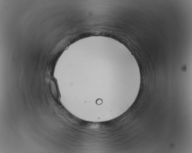 X0000115170611200911251335