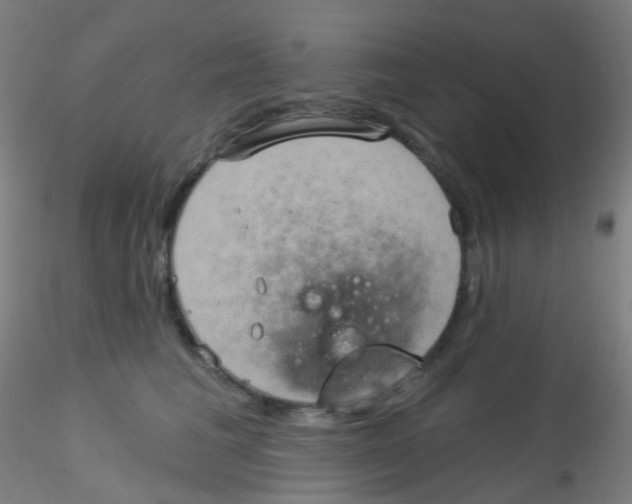 X0000115170613200911251335