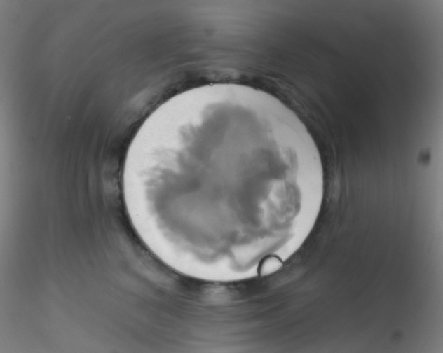 X0000115170616200911251335