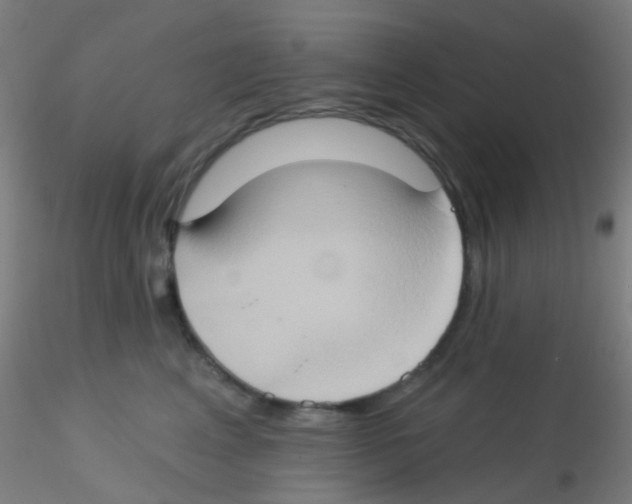 X0000115170617200911251335