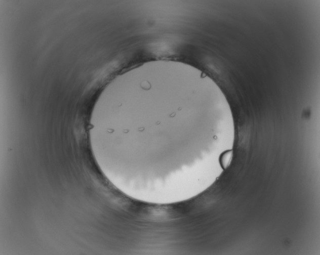 X0000115170618200911251335