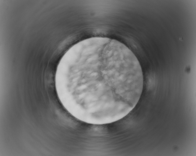 X0000115170619200911251335