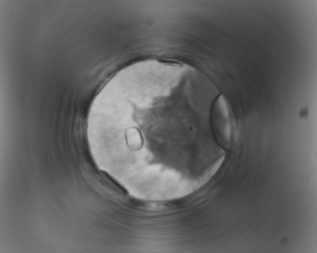 X0000115170623200911251335