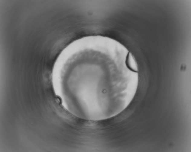 X0000115170624200911251335