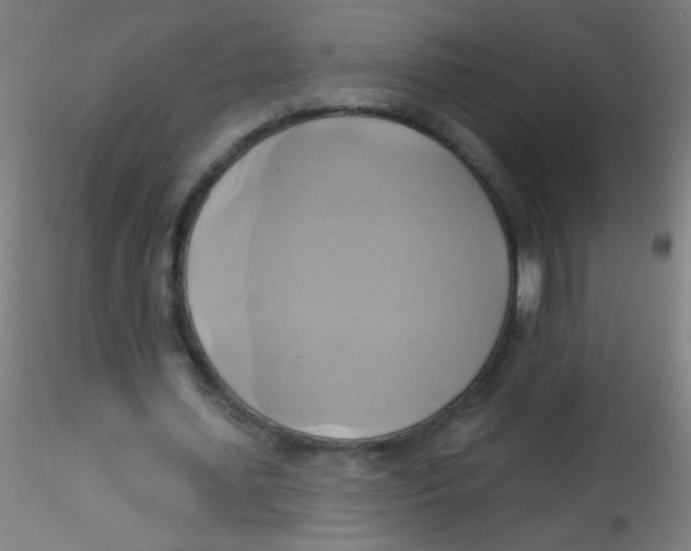 X0000115170627200911251335