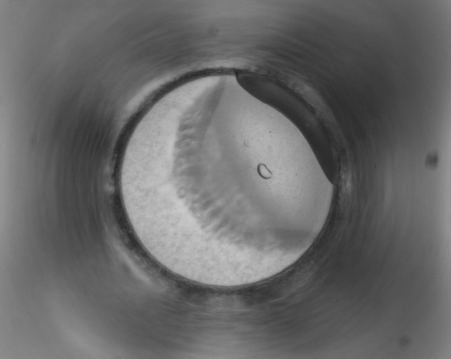 X0000115170628200911251335