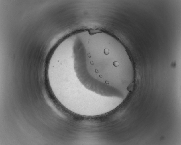 X0000115170630200911251335