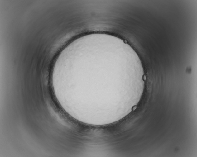 X0000115170631200911251335