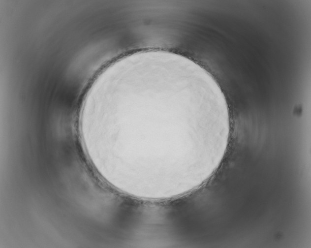 X0000115170632200911251335