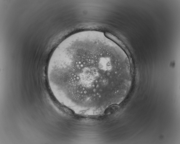 X0000115170633200911251335