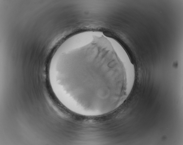 X0000115170634200911251335