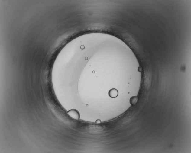 X0000115170636200911251335