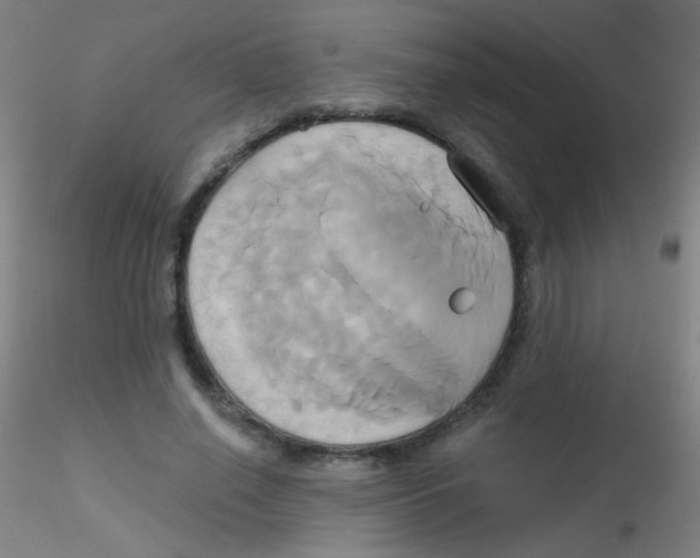 X0000115170638200911251335