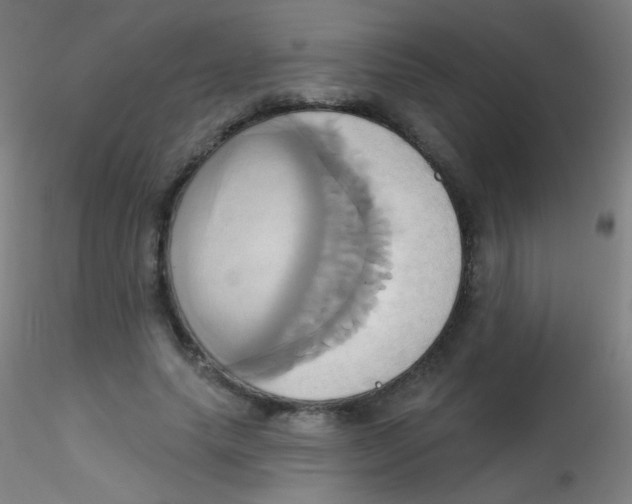 X0000115170639200911251335