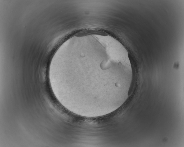 X0000115170640200911251335