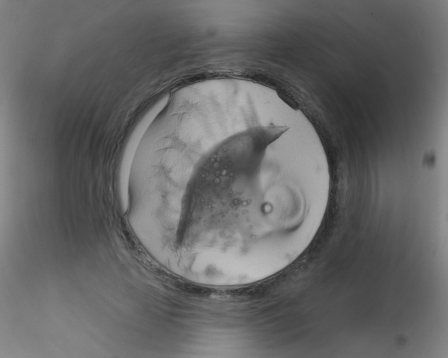 X0000115170641200911251335