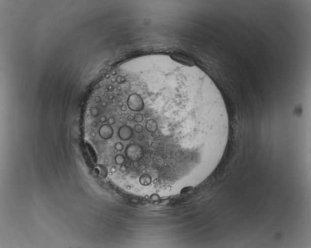 X0000115170642200911251335