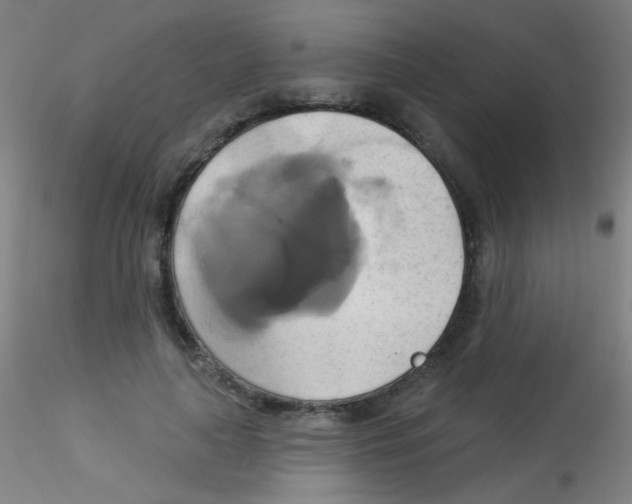 X0000115170643200911251335