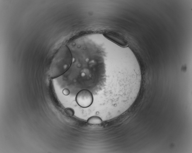 X0000115170644200911251335