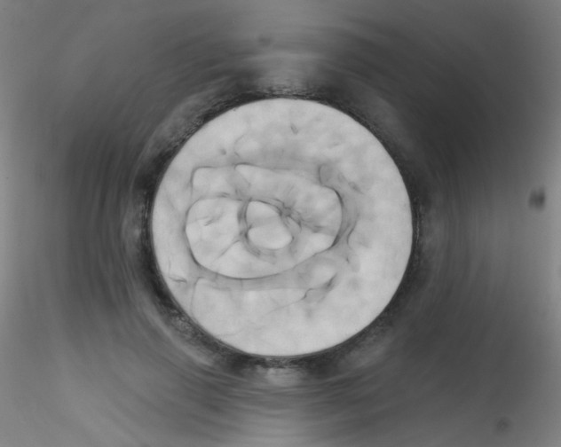 X0000115170645200911251335