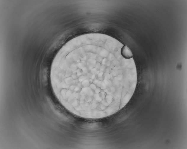 X0000115170646200911251335