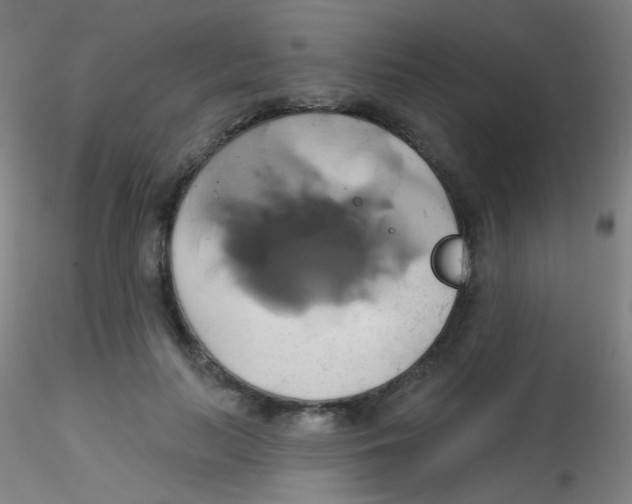 X0000115170647200911251335