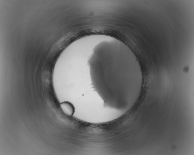 X0000115170648200911251335